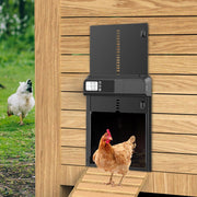 CARLA HOME Automatic Chicken Coop Door with Timer & LCD Screen, Anti-Pinch Safety, Easy Battery Operation & V178-36311