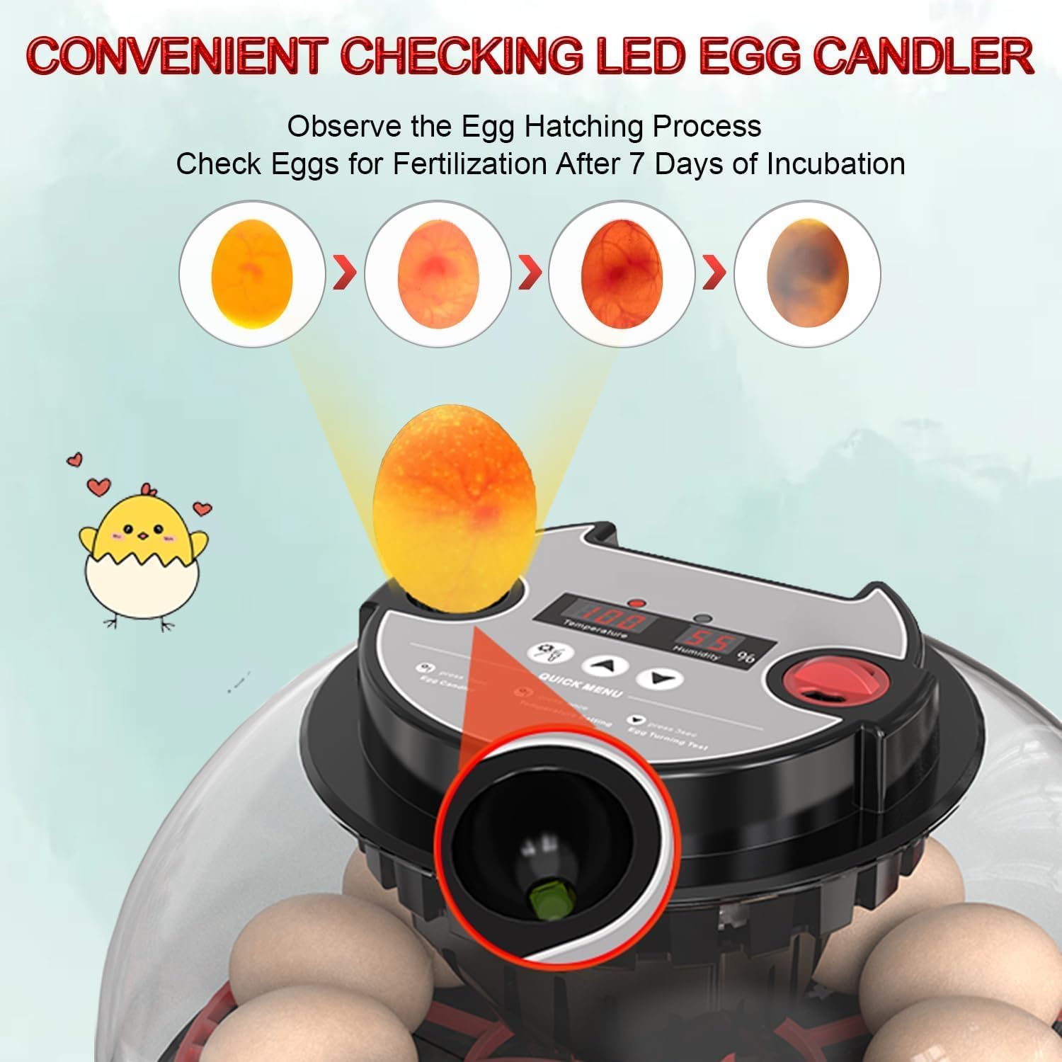CARLA HOME 12 Egg Incubator with Automatic Turning, LED Display, Humidity & Temperature Control, Auto Water V178-36343