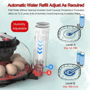 CARLA HOME 12 Egg Incubator with Automatic Turning, LED Display, Humidity & Temperature Control, Auto Water V178-36343