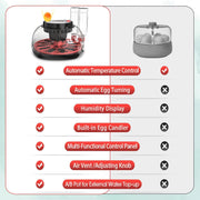 CARLA HOME 12 Egg Incubator with Automatic Turning, LED Display, Humidity & Temperature Control, Auto Water V178-36343