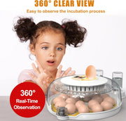 CARLA HOME 18 Egg Incubator with Automatic Turning, LED Display, Humidity & Temperature Control, Auto Water V178-36353