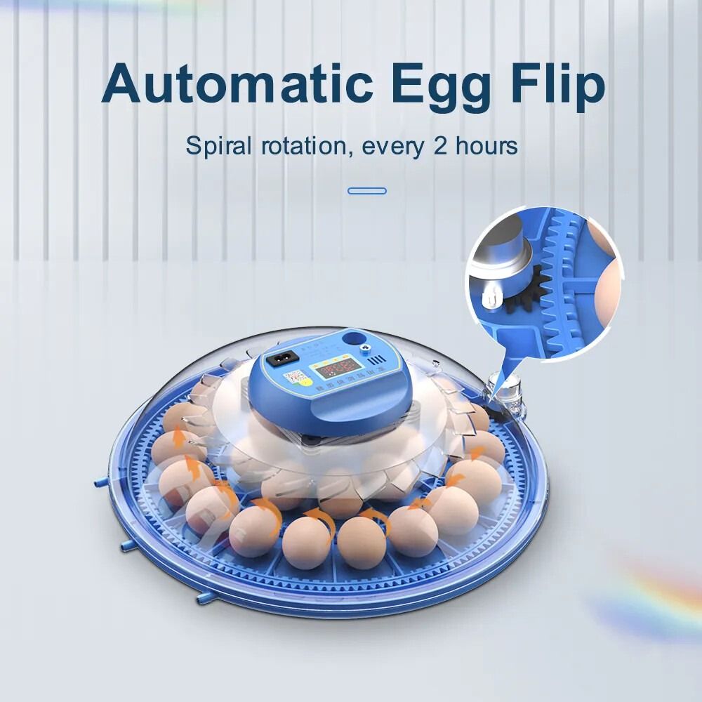 CARLA HOME 52 Egg Incubator with Automatic Turning, LED Display, Humidity & Temperature Control, Auto Water V178-36354