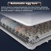 CARLA HOME 70 Egg Incubator with Automatic Turning, LED Display, Humidity & Temperature Control, Auto Water V178-36355