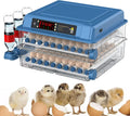 CARLA HOME 128 Egg Incubator with Automatic Turning, LED Display, Humidity & Temperature Control, Auto Water V178-36356