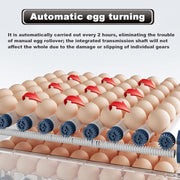 CARLA HOME 128 Egg Incubator with Automatic Turning, LED Display, Humidity & Temperature Control, Auto Water V178-36356