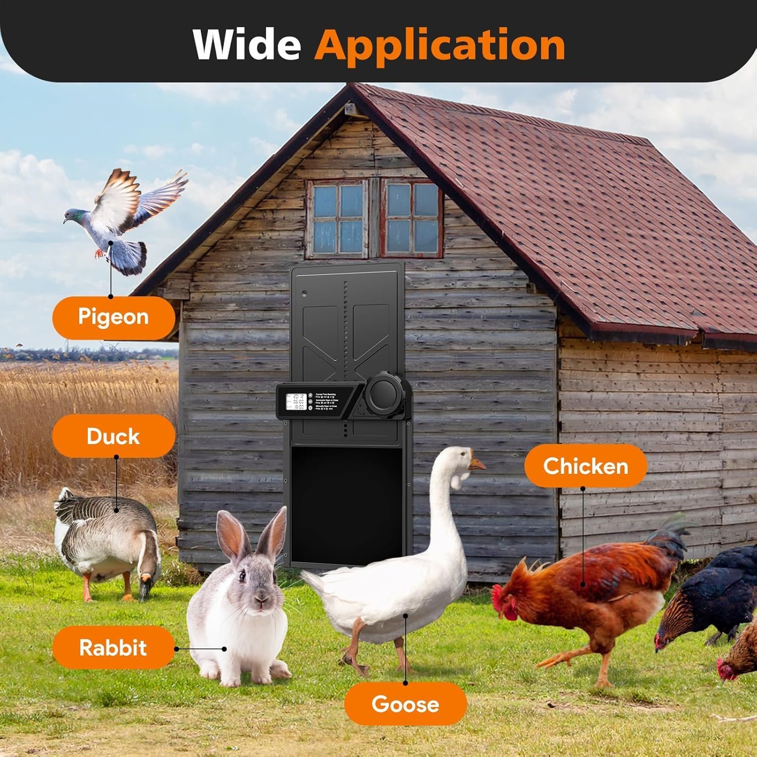 CARLA HOME Solar Automatic Chicken Coop Door with Timer, Light Sensor, Remote Control, Anti-Pinch, LED Screen V178-36374