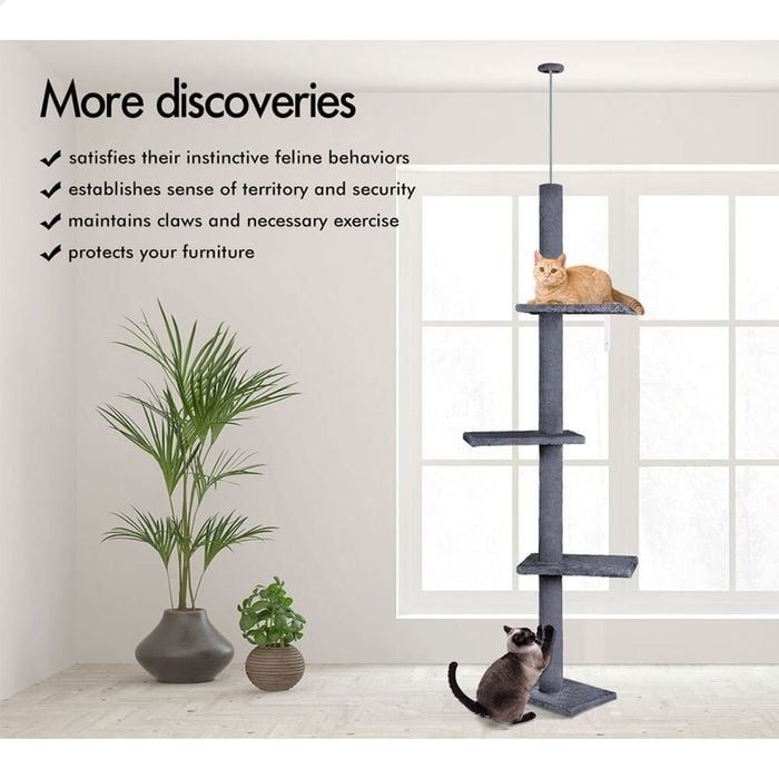 CARLA HOME Floor to Ceiling Cat Tree Tower with Adjustable Height 230-286cm for Indoor Cats (Grey) V178-36388