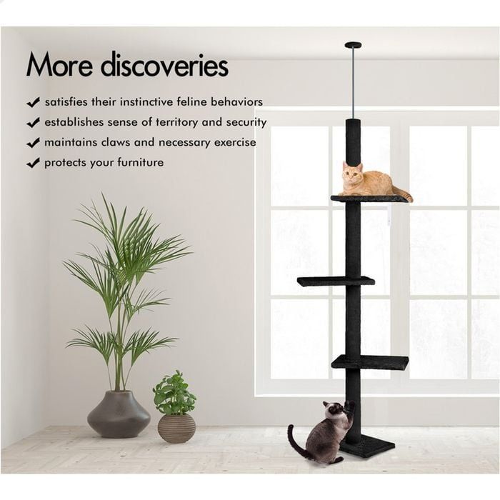 CARLA HOME Floor to Ceiling Cat Tree Tower with Adjustable Height 230-286cm for Indoor Cats (Black) V178-36389