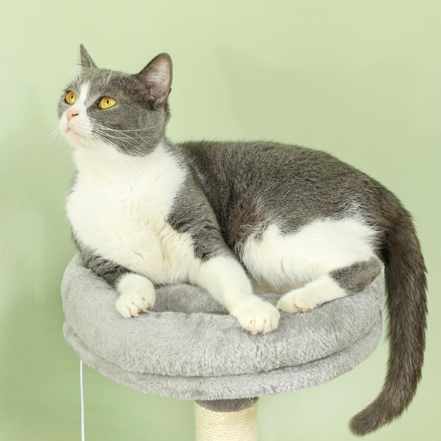 CARLA HOME Large Cat Tree Tower for Indoor Cats with Plush Perch, Cat Condo, Natural Sisal Scratching Posts, V178-36394