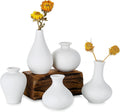 Ceramic Set of 5 White Vases for Home Dcor V178-36932
