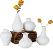 Ceramic Set of 5 White Vases for Home Dcor V178-36932