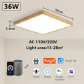 Smart LED Ceiling Lamp Voice Control App V178-62219