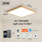 Smart LED Ceiling Lamp Voice Control App V178-62219