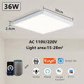Smart LED Ceiling Lamp Voice Control Alexa V178-62220
