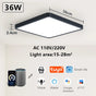 Smart LED Ceiling Lamp Voice Control Alexa V178-62221