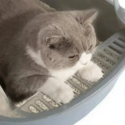 High Side Cat Litter Box with Scoop V178-62227