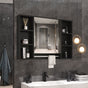 Bathroom Mirrored Cabinet Wall Storage Organizer V178-66790