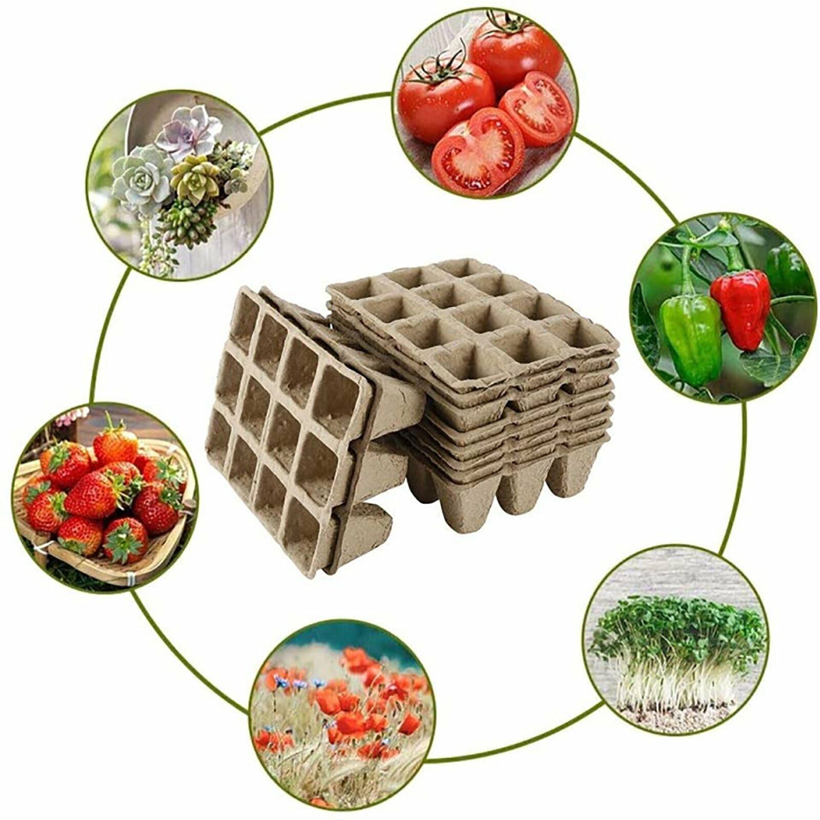 10pcs Biodegradable Seedling Trays 12-Hole Garden Starter V178-66812