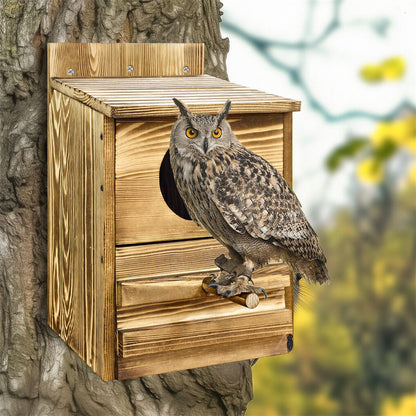Owl Nesting Box Bird Feeder Paulownia Wood Acrylic V178-66929