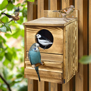 Owl Nesting Box Bird Feeder Paulownia Wood Acrylic V178-66929