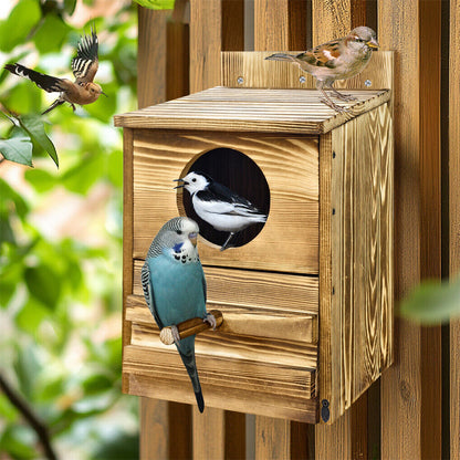 Owl Nesting Box Bird Feeder Paulownia Wood Acrylic V178-66929