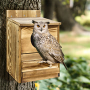Owl Nesting Box Bird Feeder Paulownia Wood Acrylic V178-66929