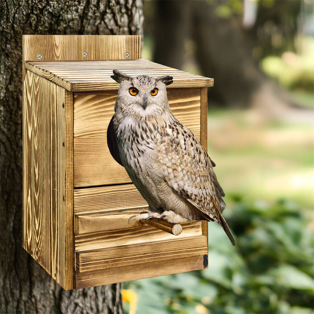 Owl Nesting Box Bird Feeder Paulownia Wood Acrylic V178-66929