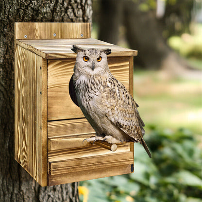 Owl Nesting Box Bird Feeder Paulownia Wood Acrylic V178-66929
