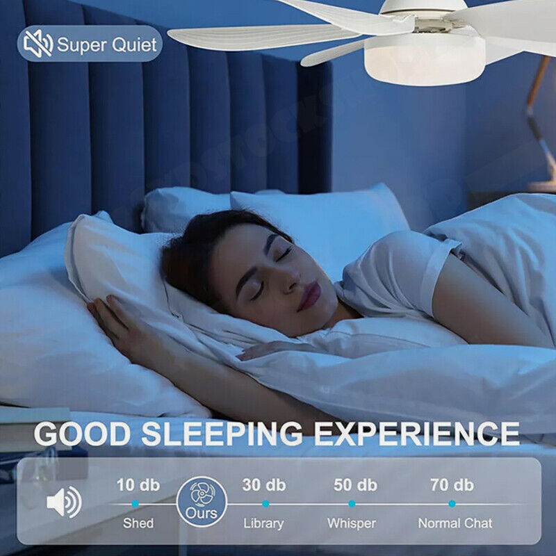 16.5 Ceiling Fan with LED Light 3-Speed Remote Control V178-66962