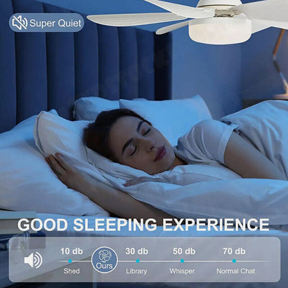 16.5 Ceiling Fan with LED Light 3-Speed Remote Control V178-66962