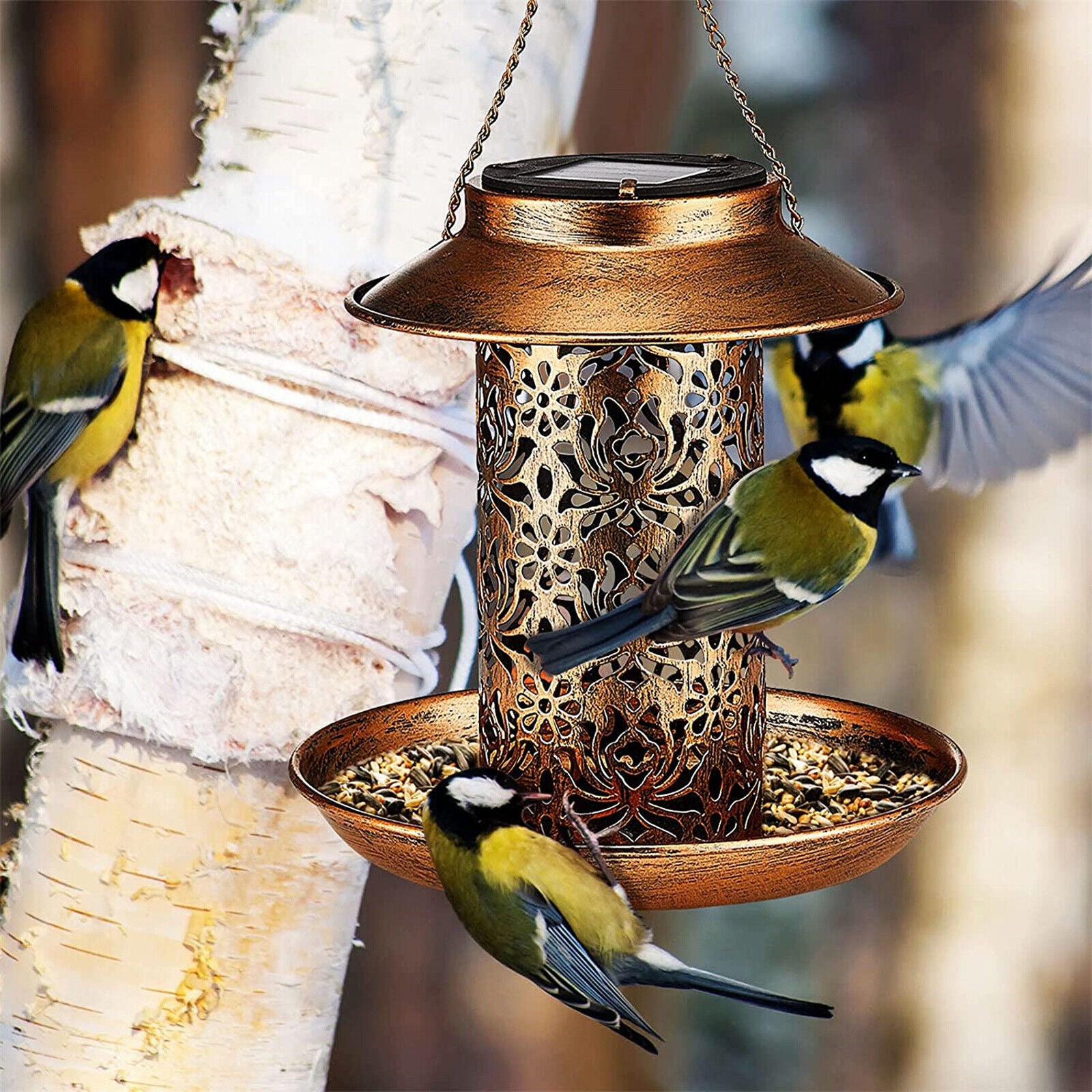 Solar Bird Seed Feeder Hanging Outdoor Garden V178-66977