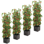 Tomato Tower With 3 Tier Frame 4 x Pack V178-67256