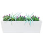 Metal Designer Planter Box 900 x 300 x 300mm Vibrant White V178-67261