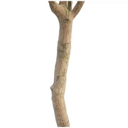 Artificial Olive Tree 2M V178-67262