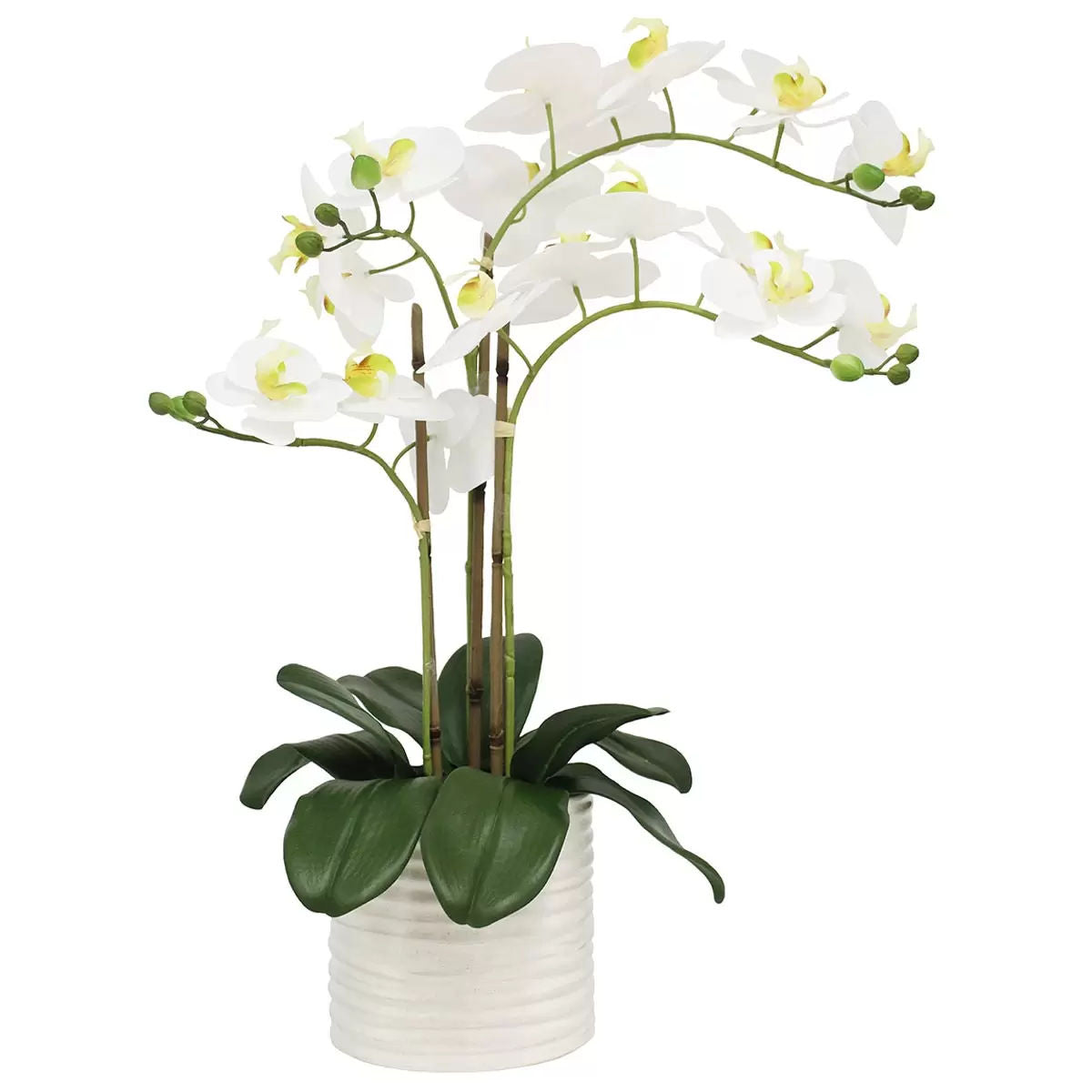 Artificial Orchid With Ribbed Pot 67cm V178-68919