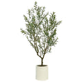Artificial Olive Tree In French Crock Pot 2M V178-68922