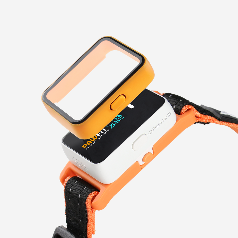 Pawfit 3 Case Blue V188-PWF3-B