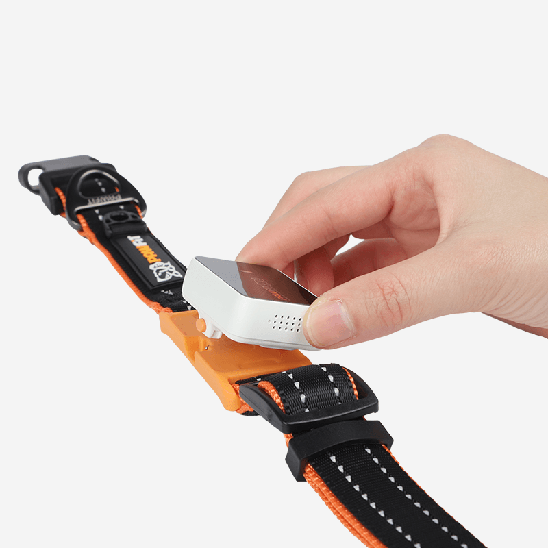 Pawfit 3 Collar Small (tracker not included)