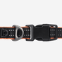 Pawfit 3 Collar Large V188-PWFC3-3