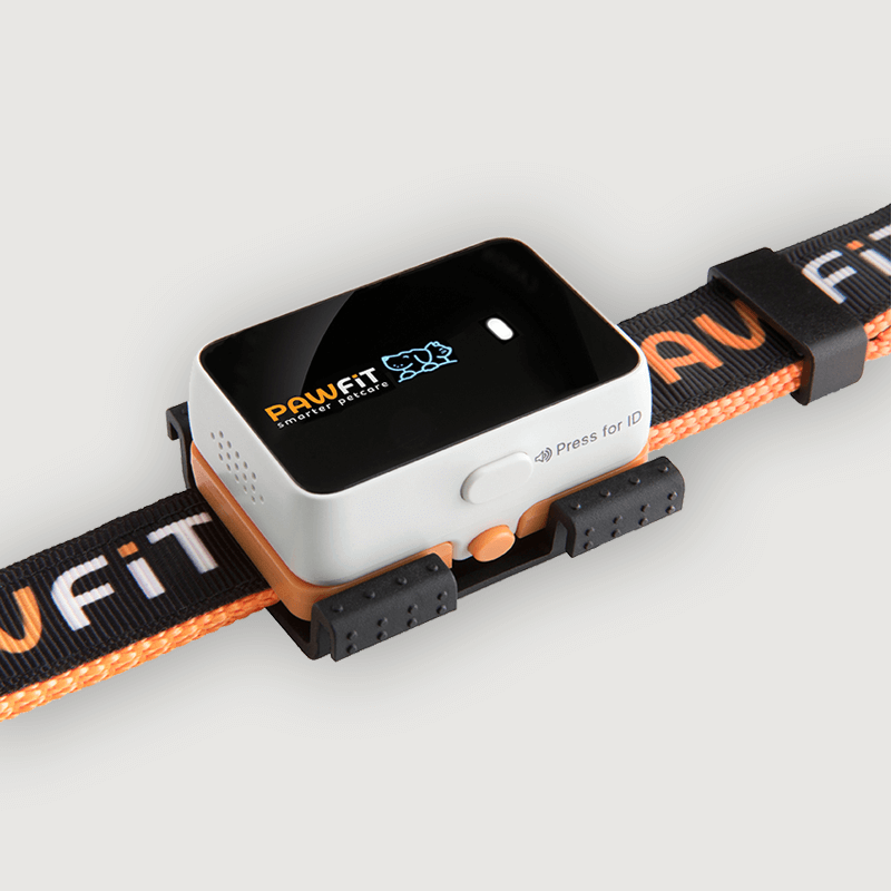 Pawfit 3 Tracker V188-PWFT3