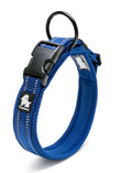 Heavy Duty Reflective Collar Royal Blue 2XS V188-ZAP-TLC5011-41-BLUE-XS