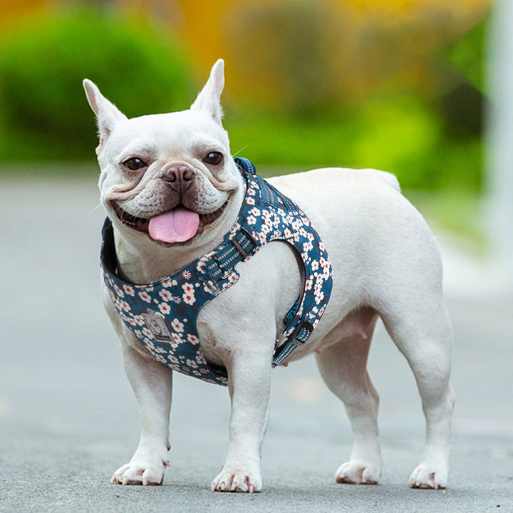 Floral Doggy Harness Saxony Blue XS V188-ZAP-TLH1912-3-BLUE-XS
