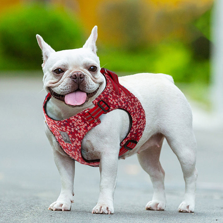 Floral Doggy Harness Red 3XS V188-ZAP-TLH1912-8-RED-XS