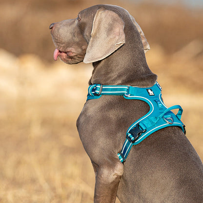 No Pull Harness Blue L V188-ZAP-TLH56512-BLUE-L