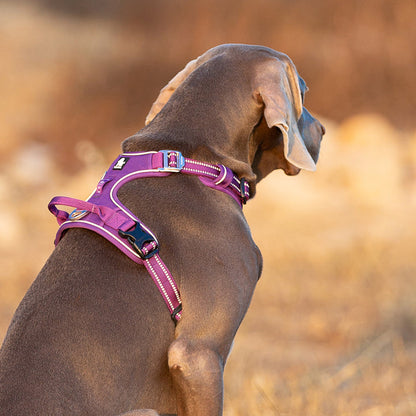 No Pull Harness Purple L V188-ZAP-TLH56512-PURPLE-L