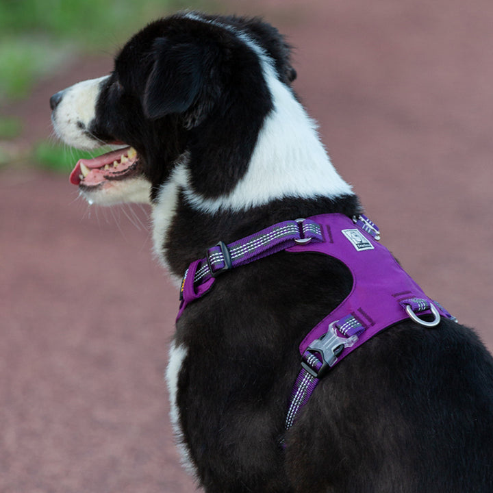 Lightweight 3M reflective Harness Purple S V188-ZAP-TLH6282-PURPLE-S