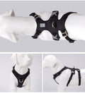 Whinhyepet Harness Black S V188-ZAP-YH-1807-3-BLACK-S