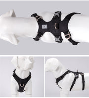 Whinhyepet Harness Black S V188-ZAP-YH-1807-3-BLACK-S