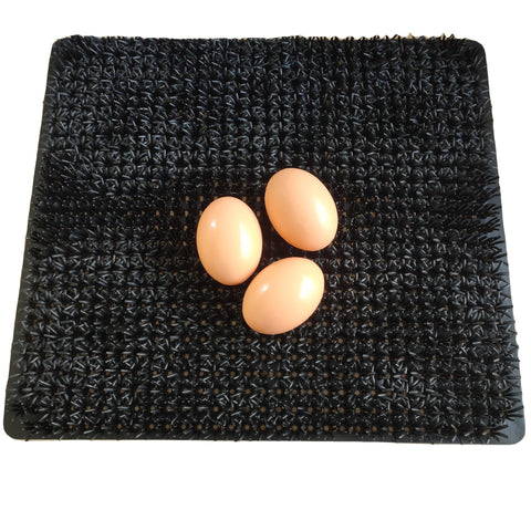 Cheeky Chooka Nesting Box Egg Mat V194-CH-EGG-MAT