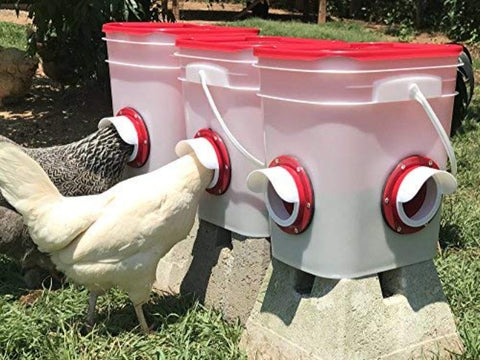 Cheeky Chooka DIY Poultry Feeder Port 4pk V194-CH-PORT-4
